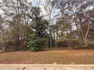 Lot 806 Joshbury Cir, Laurel, MS 39443 - photo 3