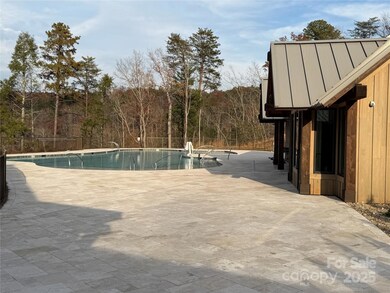 99999 Chestertown Dr, Mill Spring, NC 28756 - photo 7