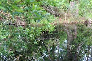 7300 Oak Ridge Place unit 5A, Chincoteague, VA 23336 - photo 6