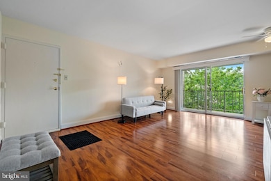 7984 Audubon Ave unit 203, Alexandria, VA 22306 - photo 5