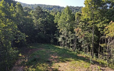 Additional View