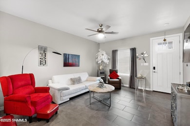 4707 Rubicon Rd, Las Cruces, NM 88012 - photo 7