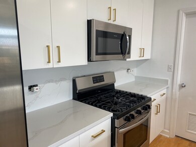 The Verde unit 701, Chicago, IL 60642 - photo 6