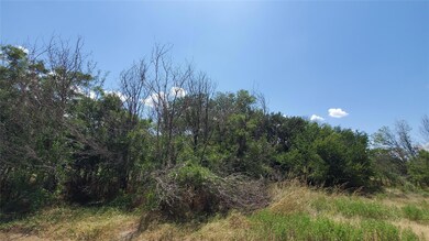 lots 20-21-22 Lipan Trail, Horseshoe Bend, TX 76087 - photo 4