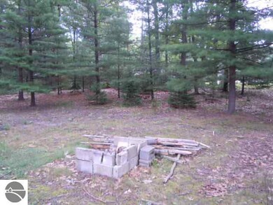 219 S Oak St, Au Gres, MI 48703 - photo 5