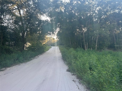 00 SE 140th Place, Summerfield, FL 34491 - photo 3