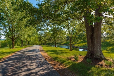 700 Lick Run Rd, West Union, OH 45693 - photo 6