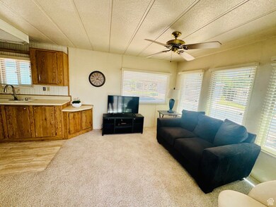 Living room featuring light colored carpet, a textured ceiling, and ceiling fan