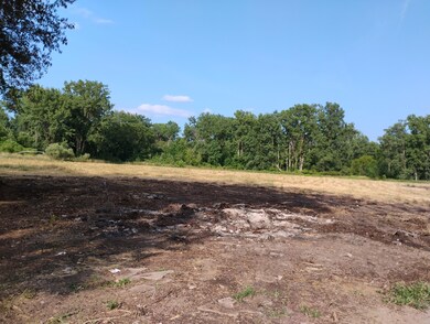 V/L 60 1 2 St, Bangor, MI 49013 - photo 3