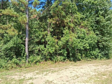 0 Alma Dr, Wilmer, AL 36587 - photo 6