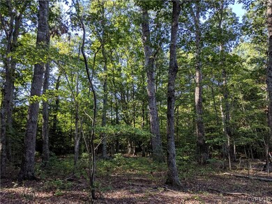 5781 Moore Creek Rd, Powhatan, VA 23139 - photo 7