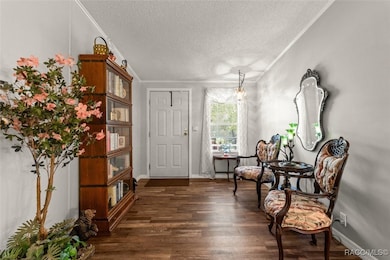 4801 S Chronaberry Point, Homosassa, FL 34446 - photo 7