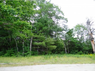 0 Wadleigh Hill Rd unit 4445528, Sutton, NH 03260 - photo 4