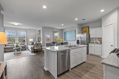 193 Lantana Trail, Boyd, TX 76023 - photo 4