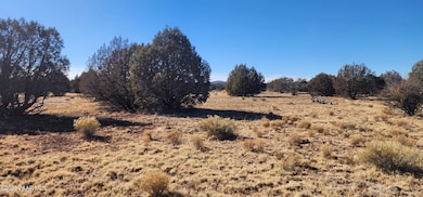 251 Se4 Juniperwood Ranch, Ash Fork, AZ 86320 - photo 6