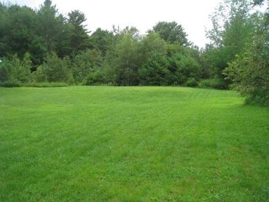 Yard/Garden.