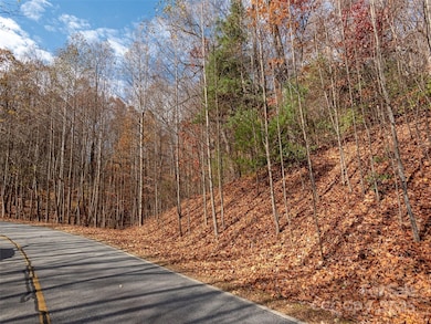 128 Pinnacle Peak Ln, Flat Rock, NC 28731 - photo 5