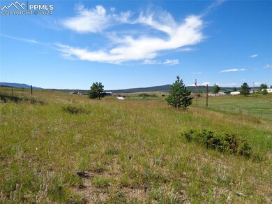 33 Grandview Cir, Divide, CO 80814 - photo 3