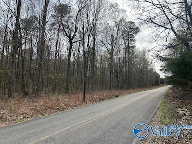 51 Peck Mountain Rd, Eva, AL 35621 - photo 7