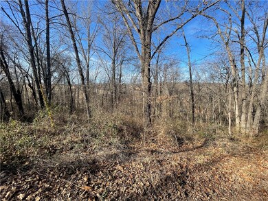 1 Winsford Ln, Bella Vista, AR 72714 - photo 3