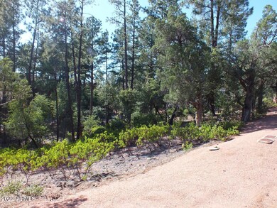 Front of the Lot