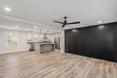 503 Pine St, Blaine, TN 37709 - photo 5