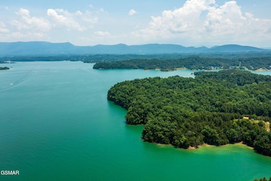 Parcel 020 Douglas Lake, Dandridge, TN 37725 - photo 3