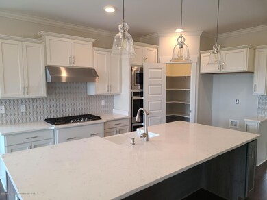 Kitchen and Pantry