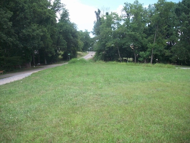 Lot 1 Horseshoe Bend Rd, Goodview, VA 24095 - photo 2