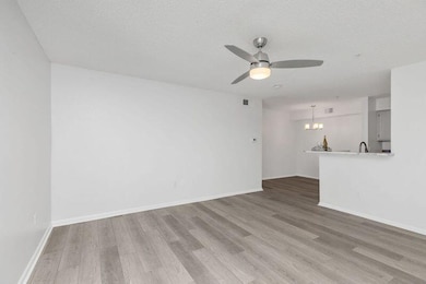New floors and paint