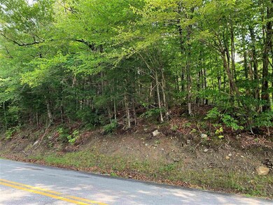 36 N Groton Rd unit lot 36, East Hebron, NH 03241 - photo 3