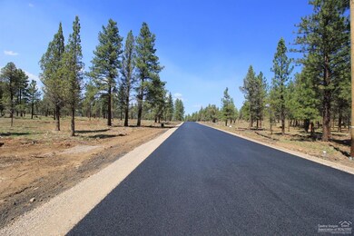 70338 Longhorn Dr, Sisters, OR 97759 - photo 3