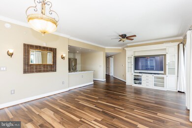 Residences at Park Place unit 706, Annapolis, MD 21401 - photo 6
