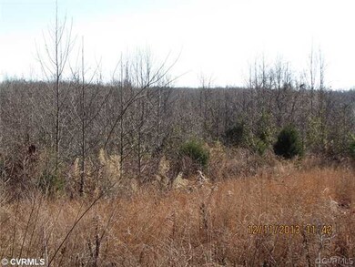 0000 Wright, Amelia, VA 23002 - photo 4