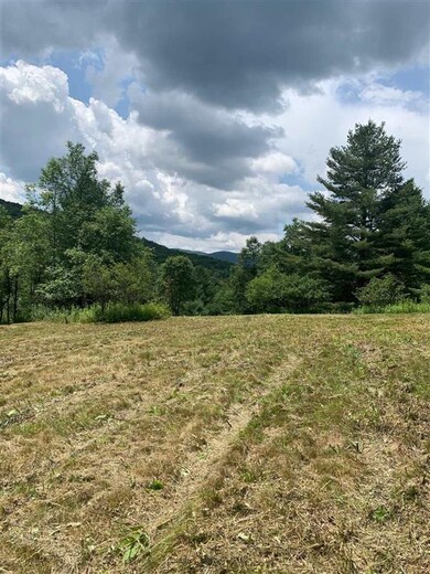 0 W Main St unit 20-20-2016+, Wilmington, VT 05363 - photo 3