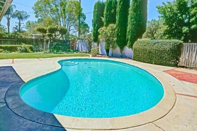 SWIMMING POOL MATURE LANDSCAPE