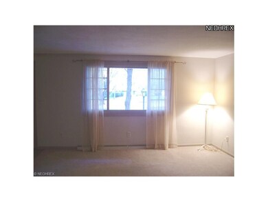 Bright and open windows fill this living room with