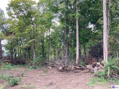 1633 Boone Hollow Rd, Battletown, KY 40104 - photo 6