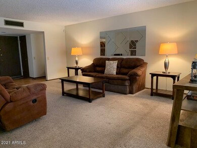 9734 W Appaloosa Dr, Sun City, AZ 85373 - photo 5