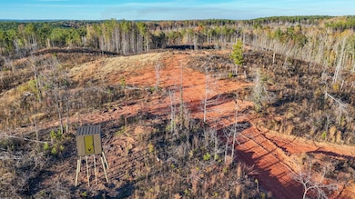 0 Big Rock Rd, Jacksons Gap, AL 36861 - photo 2