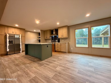 2033 Ceasar Trail, Bogue Chitto, MS 39629 - photo 3