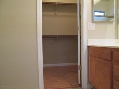 21284 E Lords Way Master Walk-In Closet