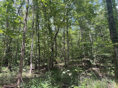 0 County Road 51, Greensboro, AL 36744 - photo 4