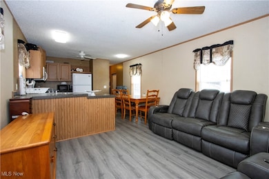 Living area with a ceiling fan, a textured ceiling, light wood-type flooring, and ornamental molding