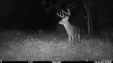 0 Central Grove Rd & Marling Rd N unit MIS25030827, Montgomery, MO 63359 - photo 4