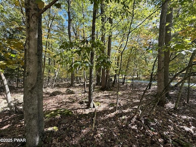 0 Paper Birch Rd N, Tafton, PA 18464 - photo 3