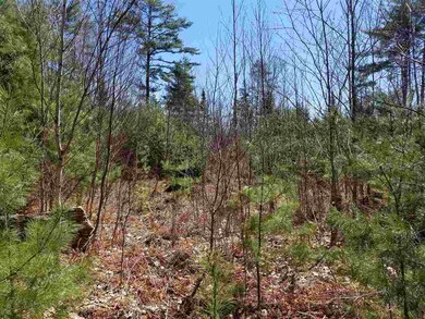 76 Canaan St, Canaan, NH 03741 - photo 2