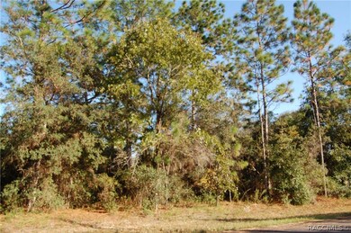 8815 N Tempest Dr, Citrus Springs, FL 34433 - photo 4