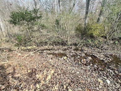 210 Trotter Rd, Waverly, TN 37185 - photo 5