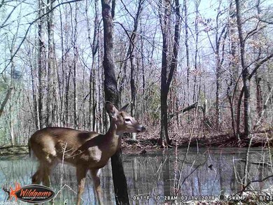 0 Cr 780 unit 20000398, Jonesboro, AR 72401 - photo 2